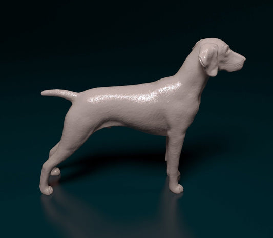 German shorthaired pointer 2 artist resin - white resin ready to prep / paint ALL SCALES sculpture / figurine
