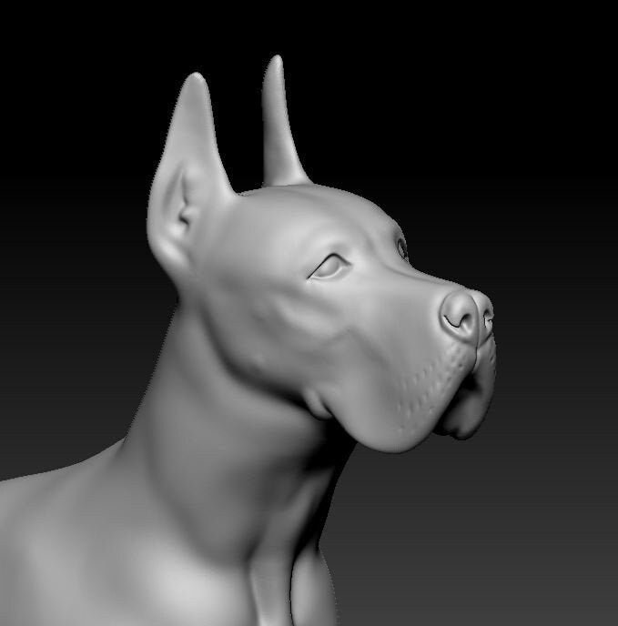 Great dane artist resin - white resin ready to prep / paint ALL SCALES