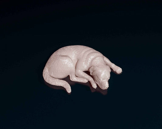 Rottweiler dog artist resin - white resin ready to prep / paint ALL SCALES sculpture / figurine
