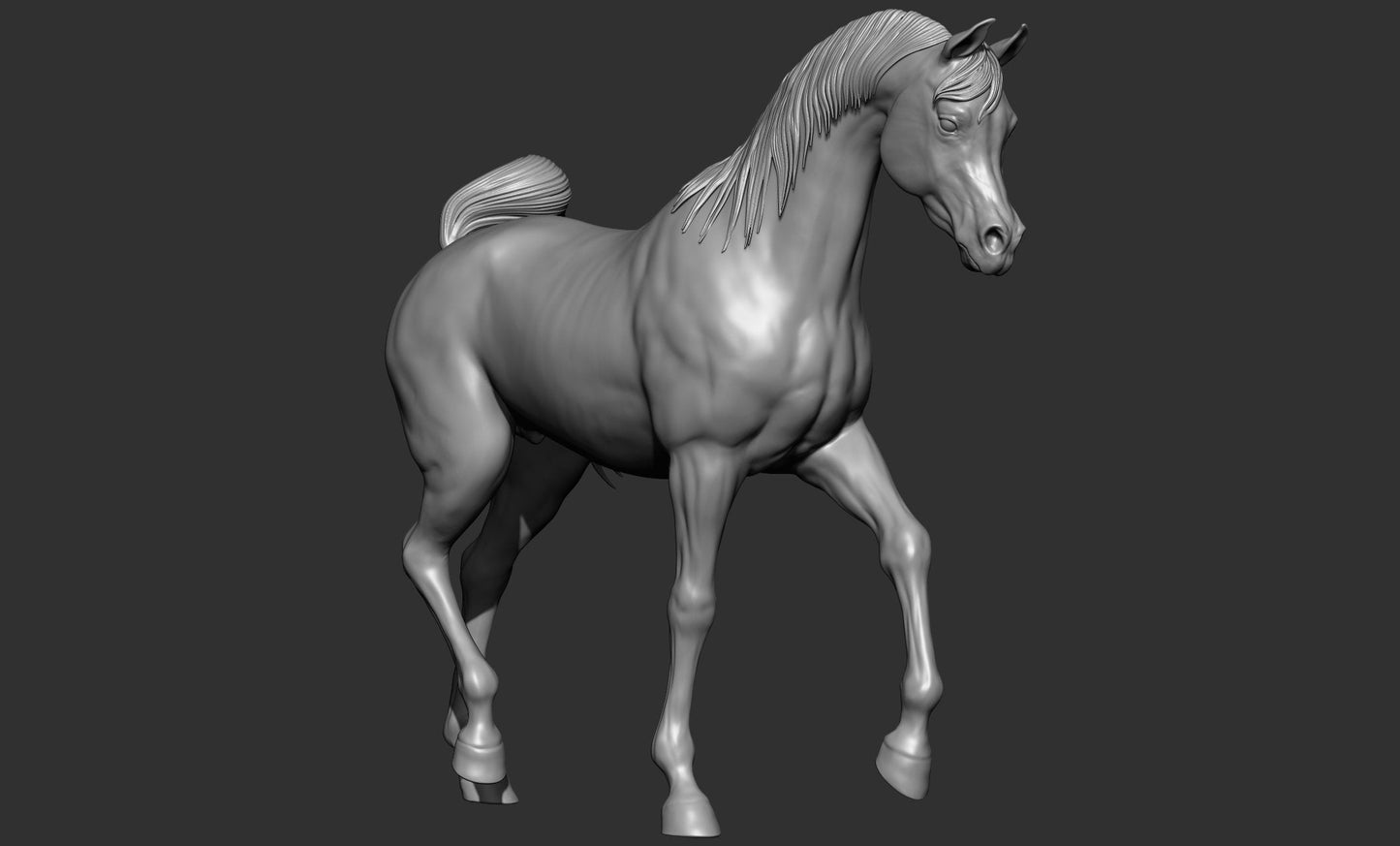 Arabian model horse artist resin sizes and scales - white resin ready to prep / paint ALL SCALES