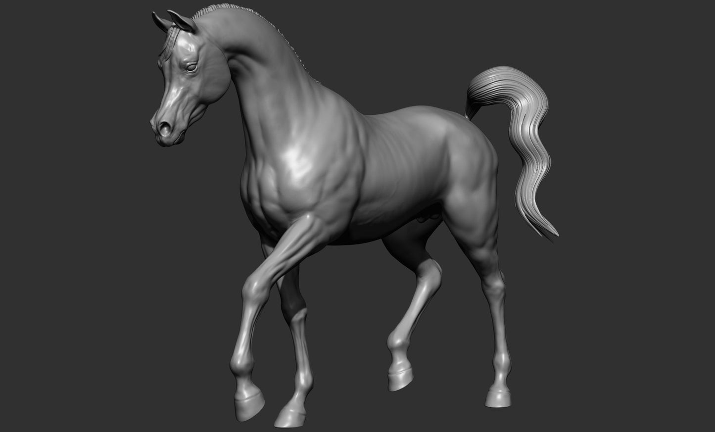 Arabian model horse artist resin sizes and scales - white resin ready to prep / paint ALL SCALES