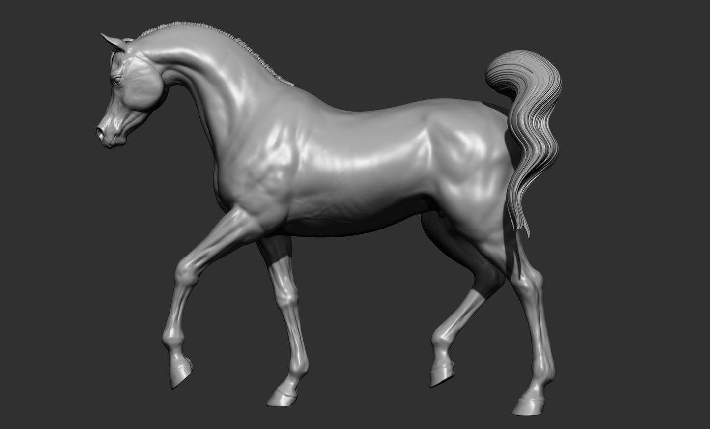 Arabian model horse artist resin sizes and scales - white resin ready to prep / paint ALL SCALES