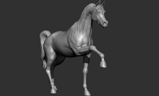 Arabian model horse artist resin many sizes and scales - white resin ready to prep / paint ALL SCALES
