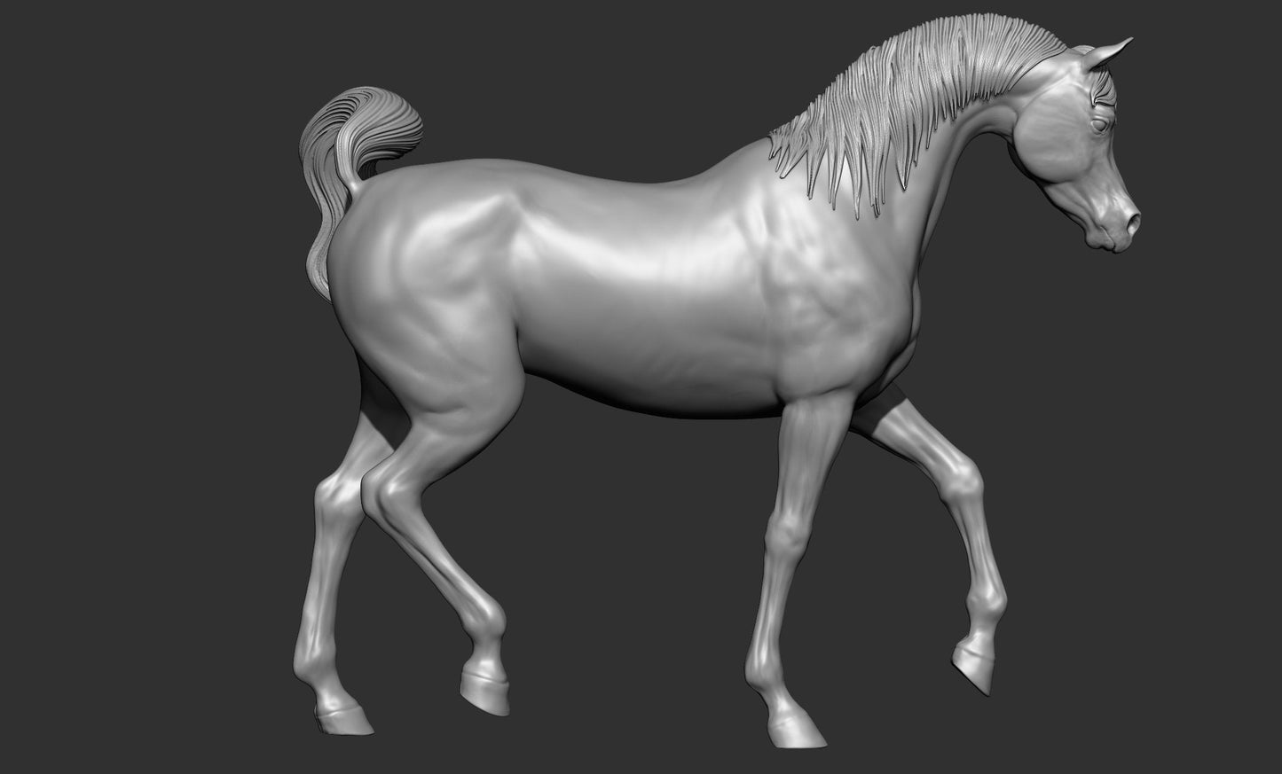 Arabian model horse artist resin sizes and scales - white resin ready to prep / paint ALL SCALES