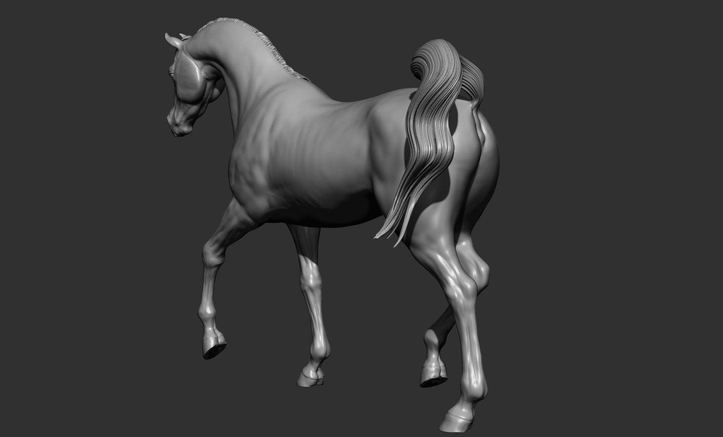 Arabian model horse artist resin sizes and scales - white resin ready to prep / paint ALL SCALES