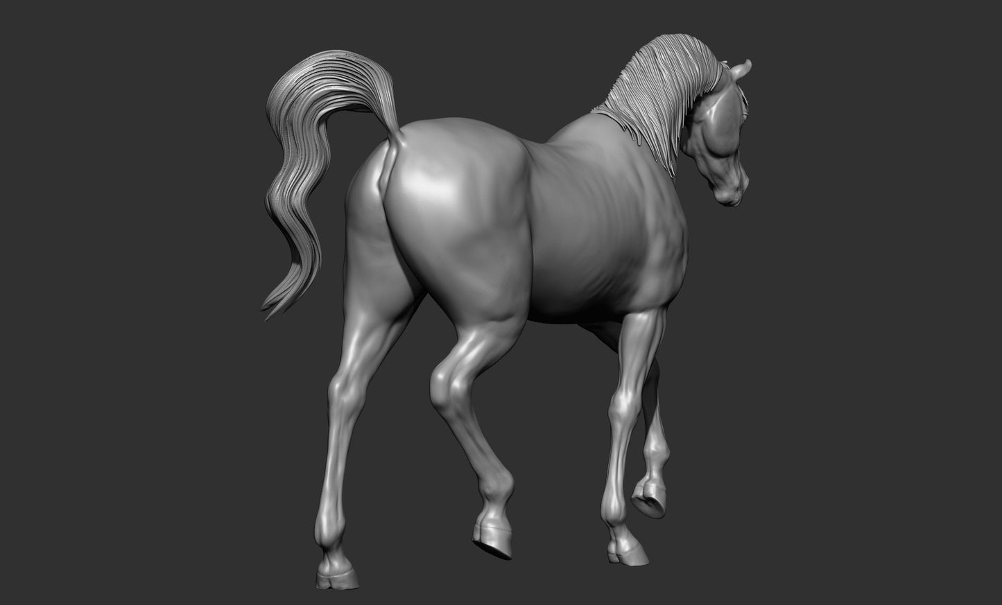 Arabian model horse artist resin sizes and scales - white resin ready to prep / paint ALL SCALES