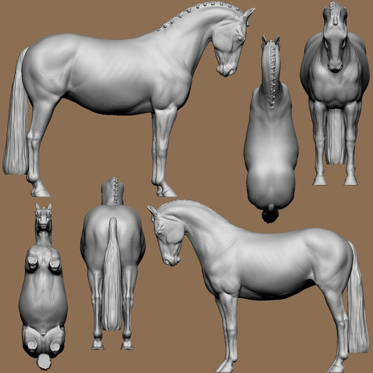 Warmblood artist resin Model Horse figurine - unpainted 1/9 Traditional