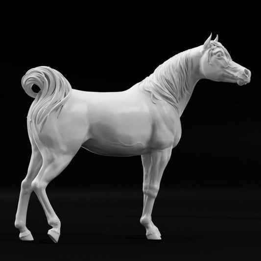 Artist resin Arabian model horse Connor - white resin - All scales