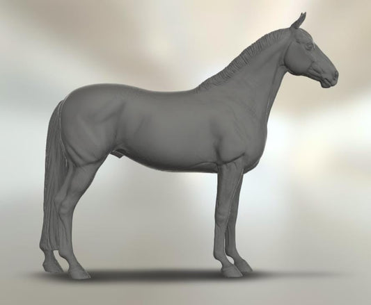 Warmblood stallion model horse artist resin - White resin - All scales