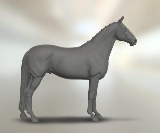 Braided Warmblood stallion model horse artist resin - White resin - All scales