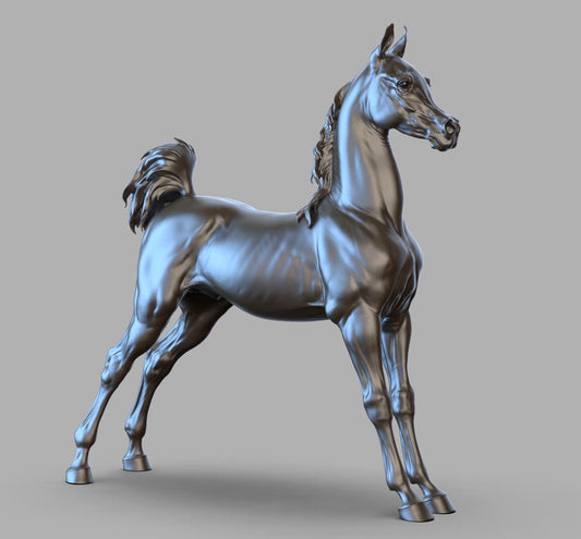 Beautiful Parked Arabian / Arab foal in show stance. Artist Resin model horse Figurine - all sizes