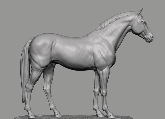 Warmblood / TB model Horse artist resin - White resin figurine - Unpainted