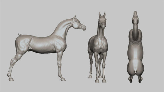 Arabian stallion Standing for hairing model Horse artist resin - White resin figurine - Unpainted