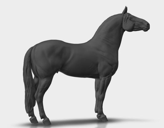 Murgese stallion model Horse artist resin - White resin figurine - Unpainted