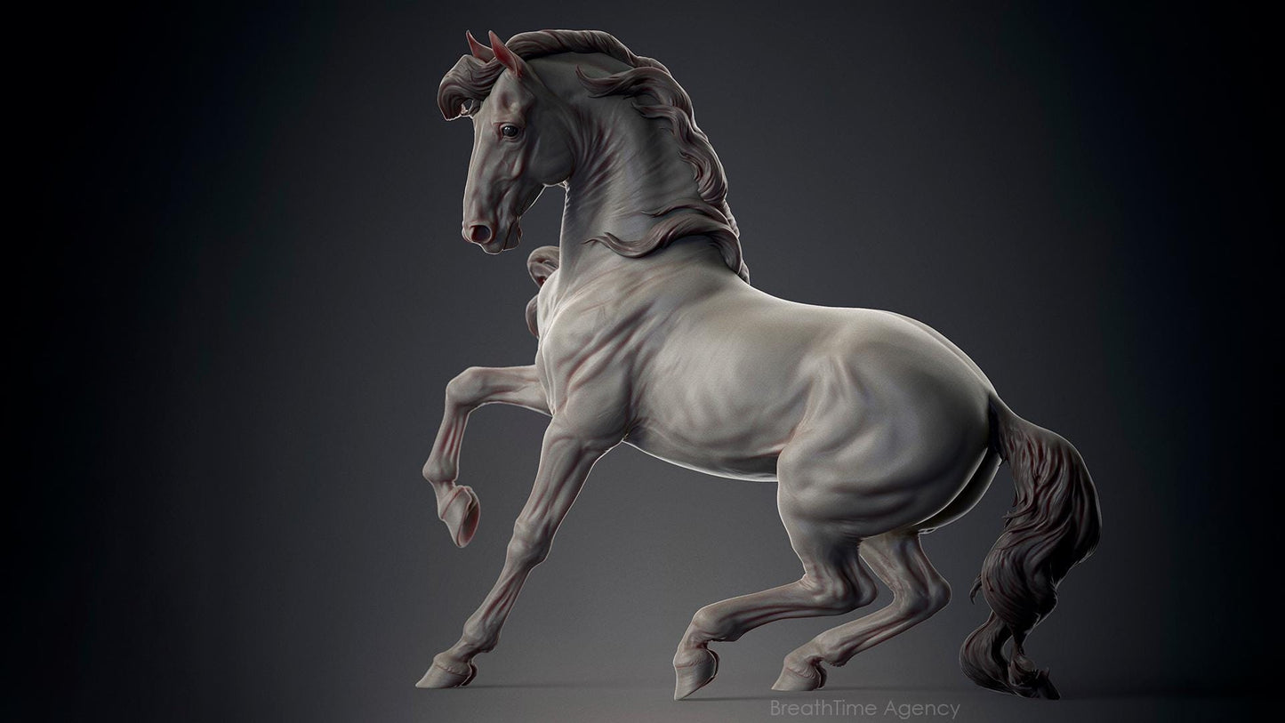 Andalusian stallion HFH exclusive Spanish horse model Horse artist resin - White resin figurine - Unpainted