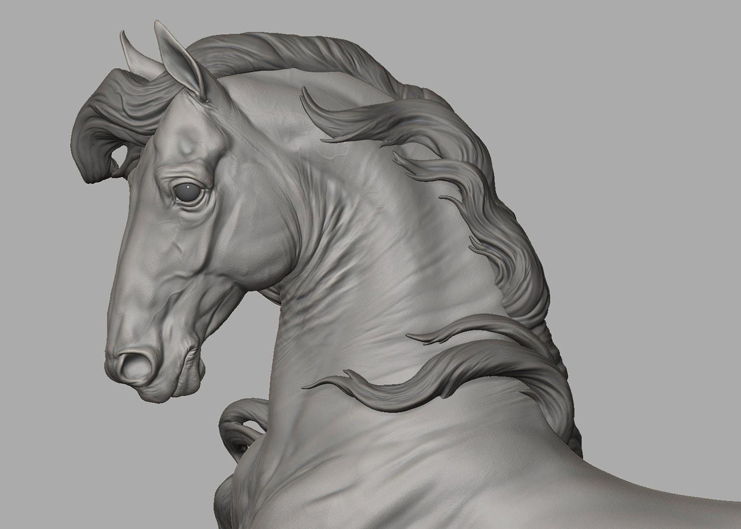 Andalusian stallion HFH exclusive Spanish horse model Horse artist resin - White resin figurine - Unpainted