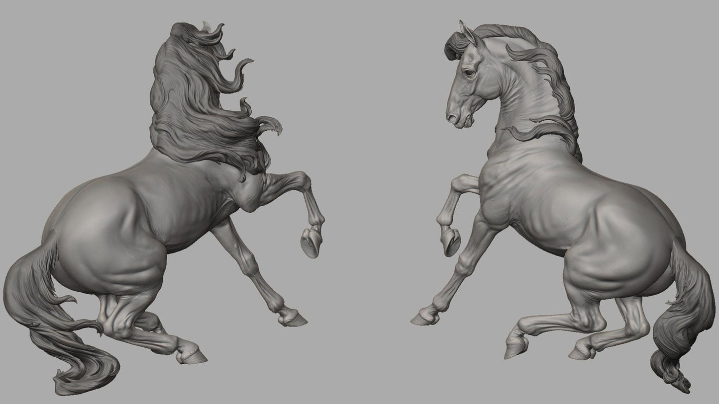 Andalusian stallion HFH exclusive Spanish horse model Horse artist resin - White resin figurine - Unpainted