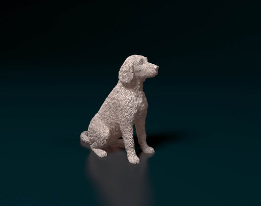 Labradoodle artist resin - white resin ready to prep / paint ALL SCALES
