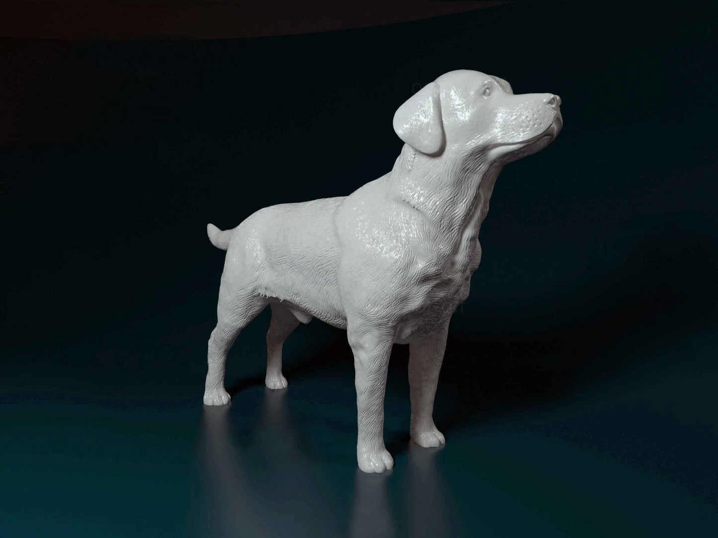 Labrador artist resin - white resin ready to prep / paint ALL SCALES