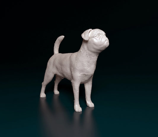 Brussels griffon smooth artist resin - white resin ready to prep / paint ALL SCALES