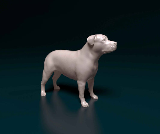 Pit bull terrier artist resin - white resin ready to prep / paint ALL SCALES