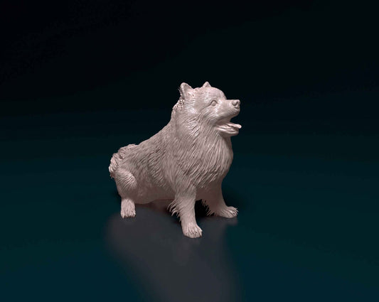 Pomeranian artist resin - white resin ready to prep / paint ALL SCALES