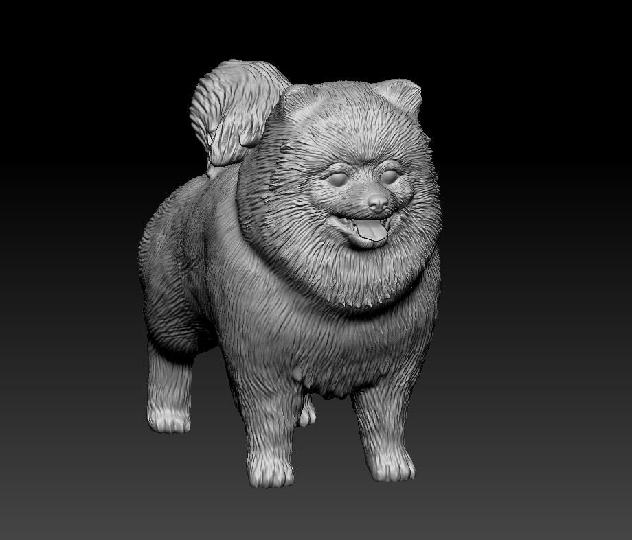 Pomeranian artist resin - white resin ready to prep / paint ALL SCALES