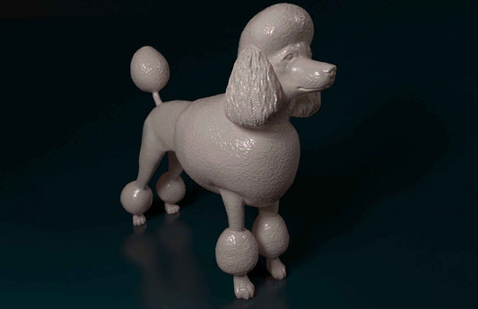 Poodle artist resin - white resin ready to prep / paint ALL SCALES