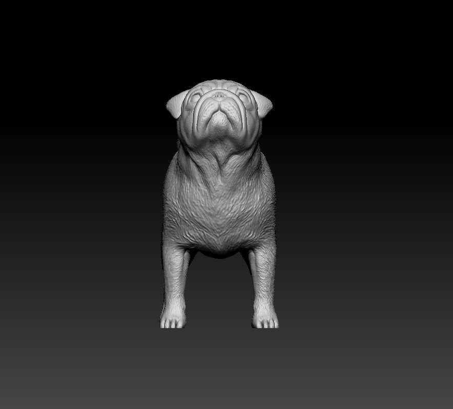 Pug artist resin - white resin ready to prep / paint ALL SCALES