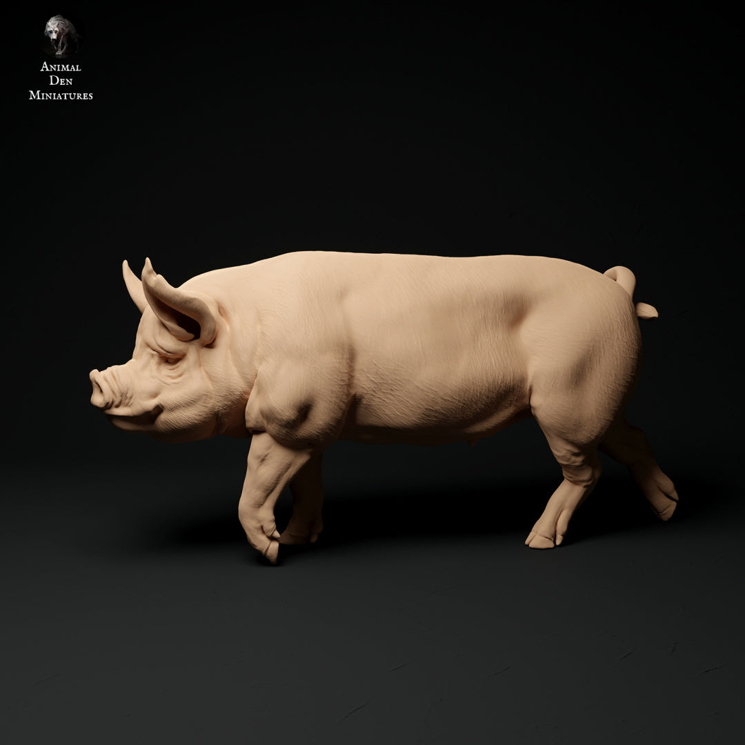 Berkshire boar artist resin - white resin ready to prep / paint ALL SCALES