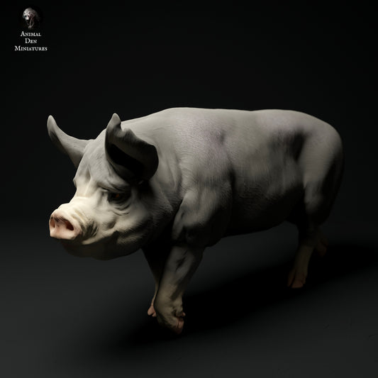 Berkshire boar artist resin - white resin ready to prep / paint ALL SCALES