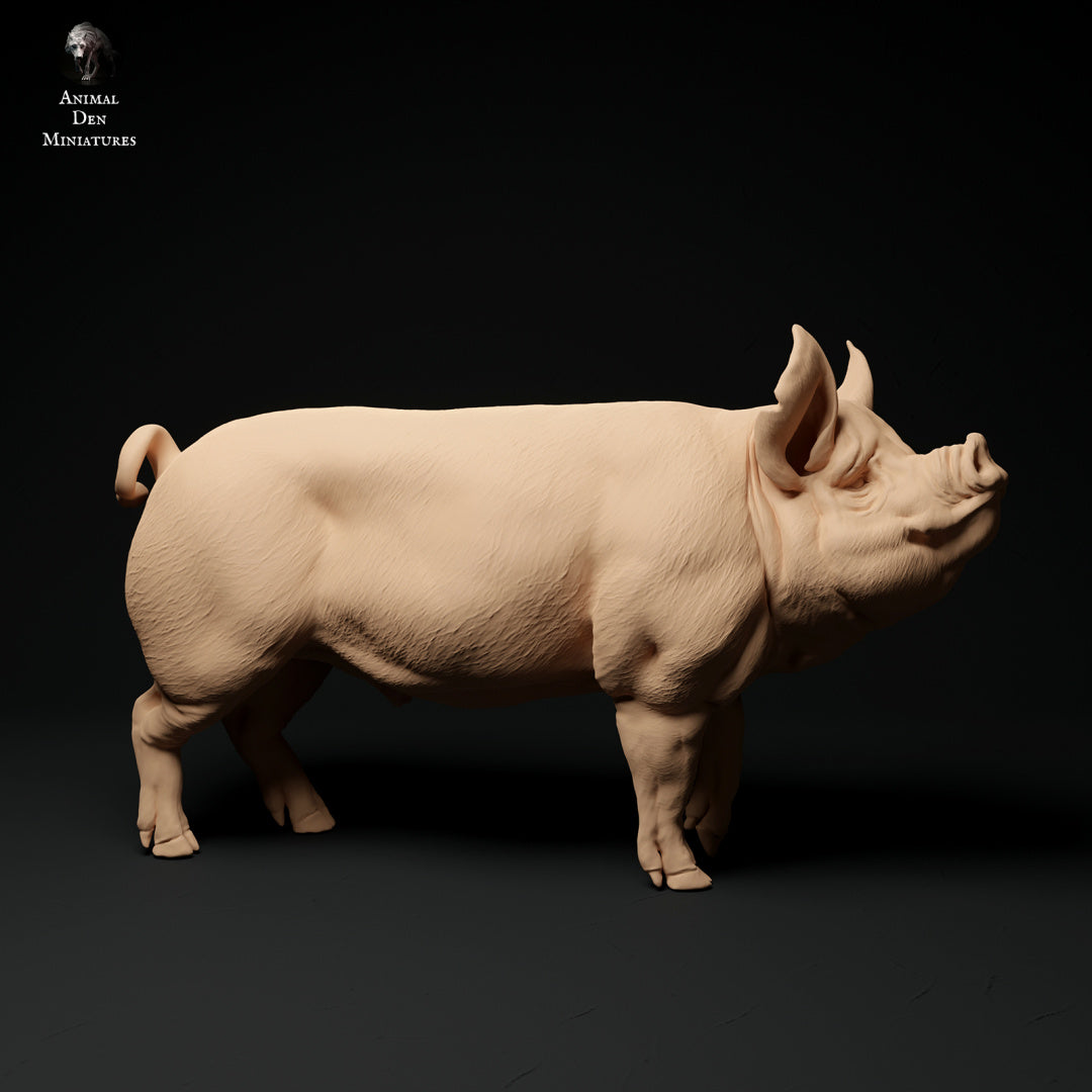 Berkshire pig artist resin - white resin ready to prep / paint ALL SCALES