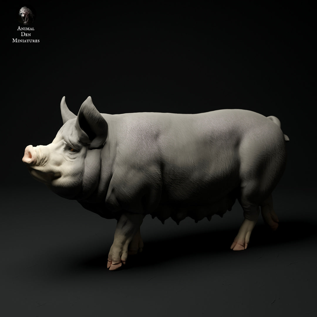 Berkshire pig artist resin - white resin ready to prep / paint ALL SCALES