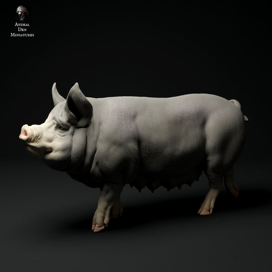 Berkshire pig artist resin - white resin ready to prep / paint ALL SCALES