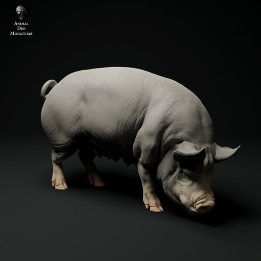 Berkshire pig  artist resin - white resin ready to prep / paint ALL SCALES
