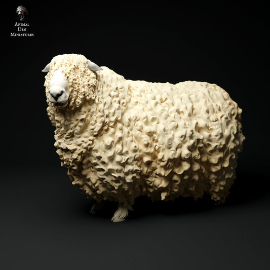 longwool ram artist resin - white resin ready to prep / paint ALL SCALES