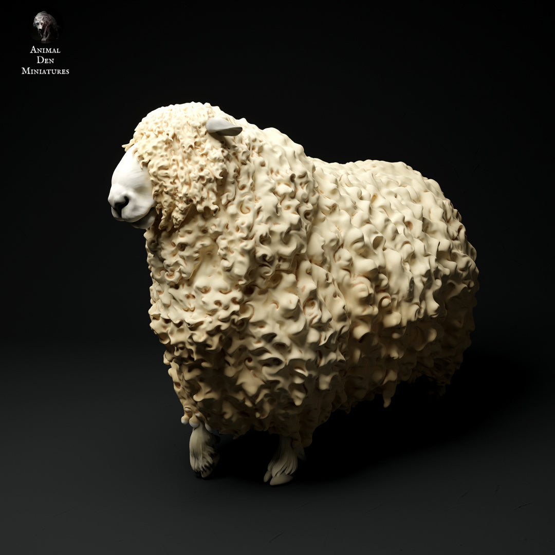 longwool ram artist resin - white resin ready to prep / paint ALL SCALES