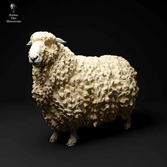 Longwool sheep artist resin - white resin ready to prep / paint ALL SCALES