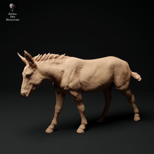 Common Donkey - white resin - ready to prep / paint - many options