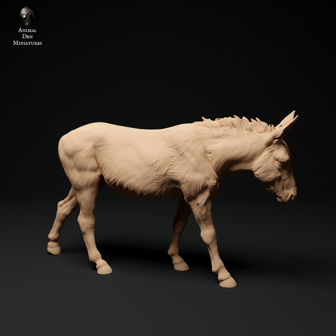 Common Donkey - white resin - ready to prep / paint - many options