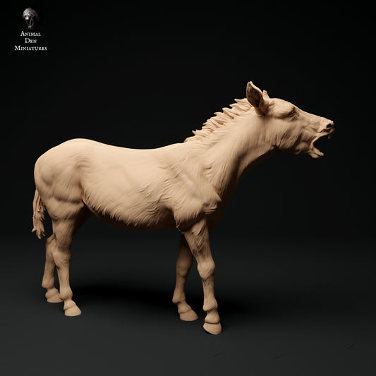 Common donkey braying - white resin - ready to prep / paint - many options