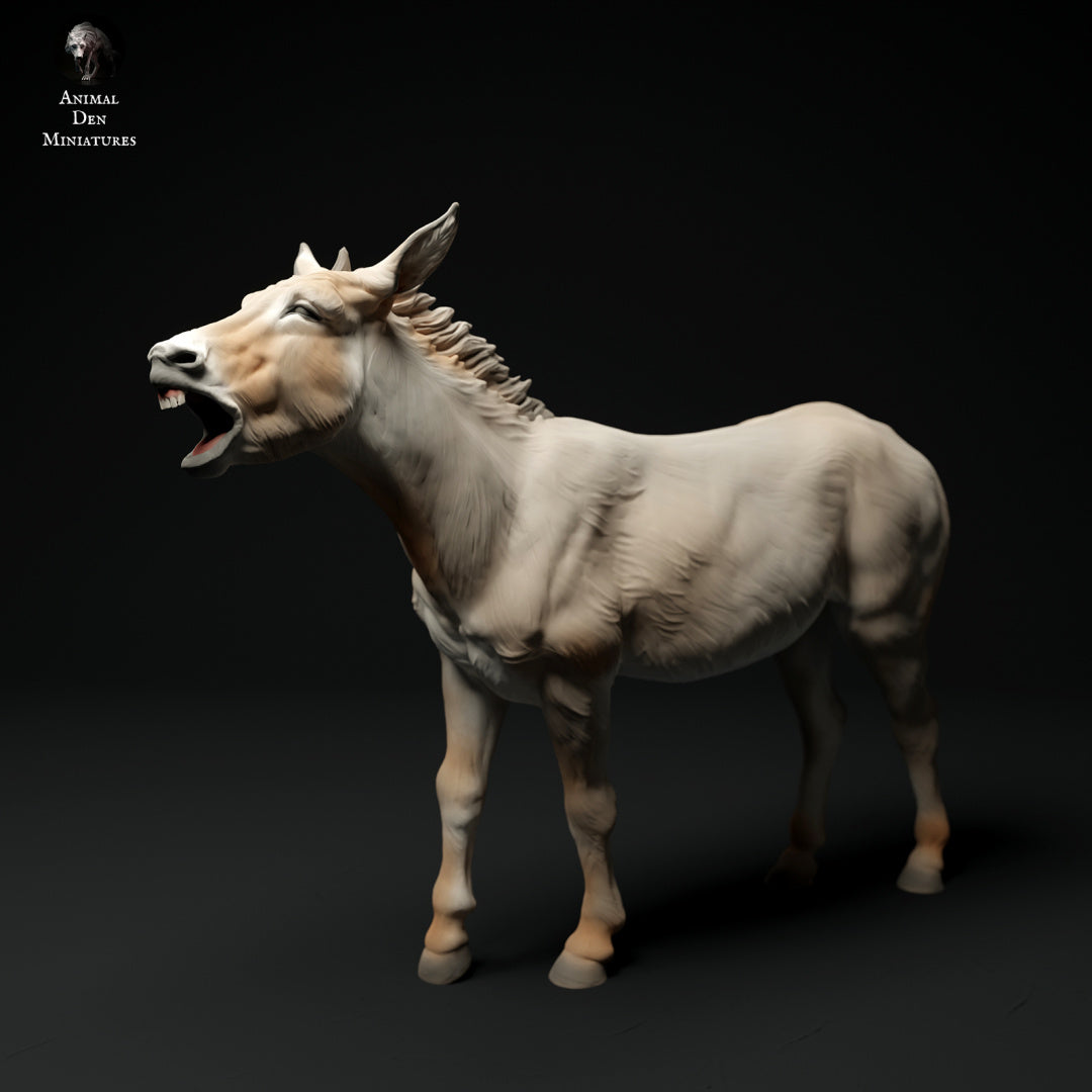 Common donkey braying - white resin - ready to prep / paint - many options