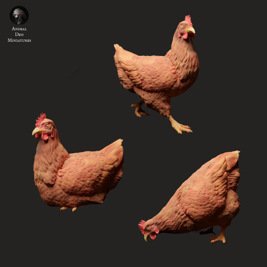 Chicken set artist resin - white resin ready to prep / paint ALL SCALES