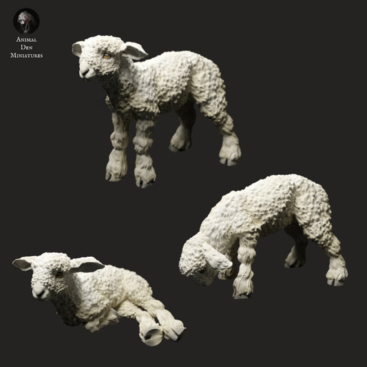 Lonwool lamb set artist resin - white resin ready to prep / paint ALL SCALES