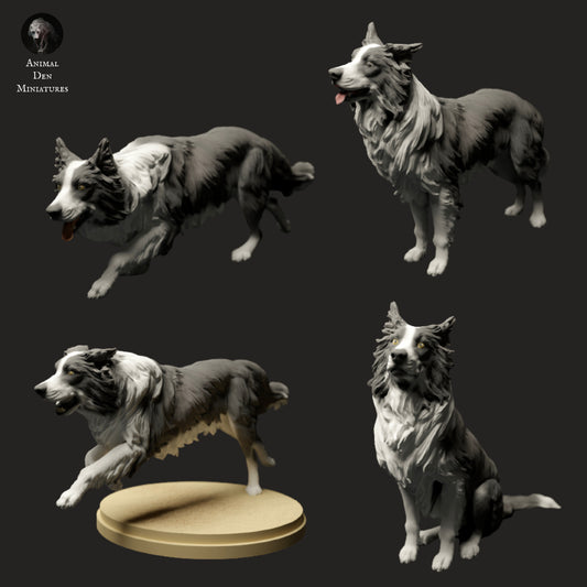 Farm border collie  set artist resin - white resin ready to prep / paint ALL SCALES