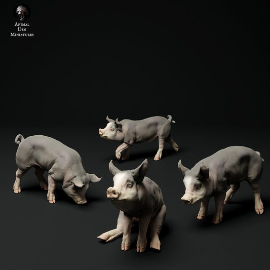 Berkshire piglets - White resin - ready to prep / paint