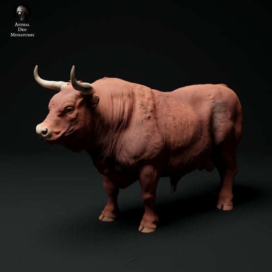Red Devon bull artist resin - white resin ready to prep / paint ALL SCALES