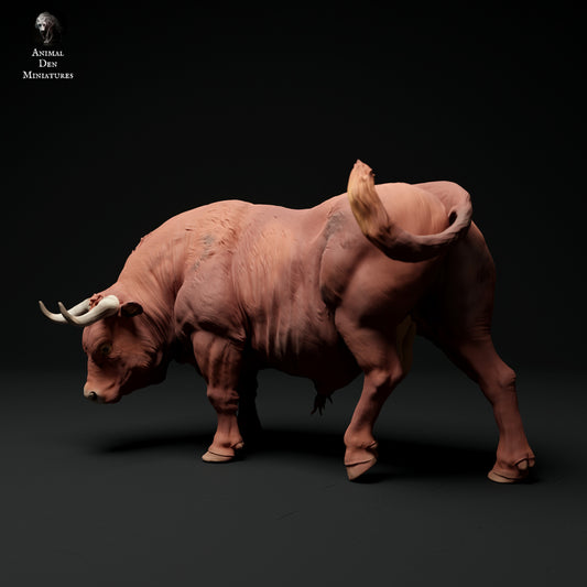 Red Devon bull artist resin - white resin ready to prep / paint ALL SCALES