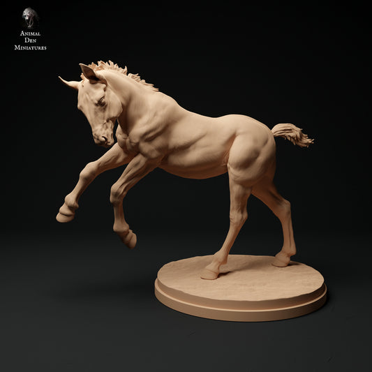 Suffolk Punch foals - white resin - ready to prep / paint - many options
