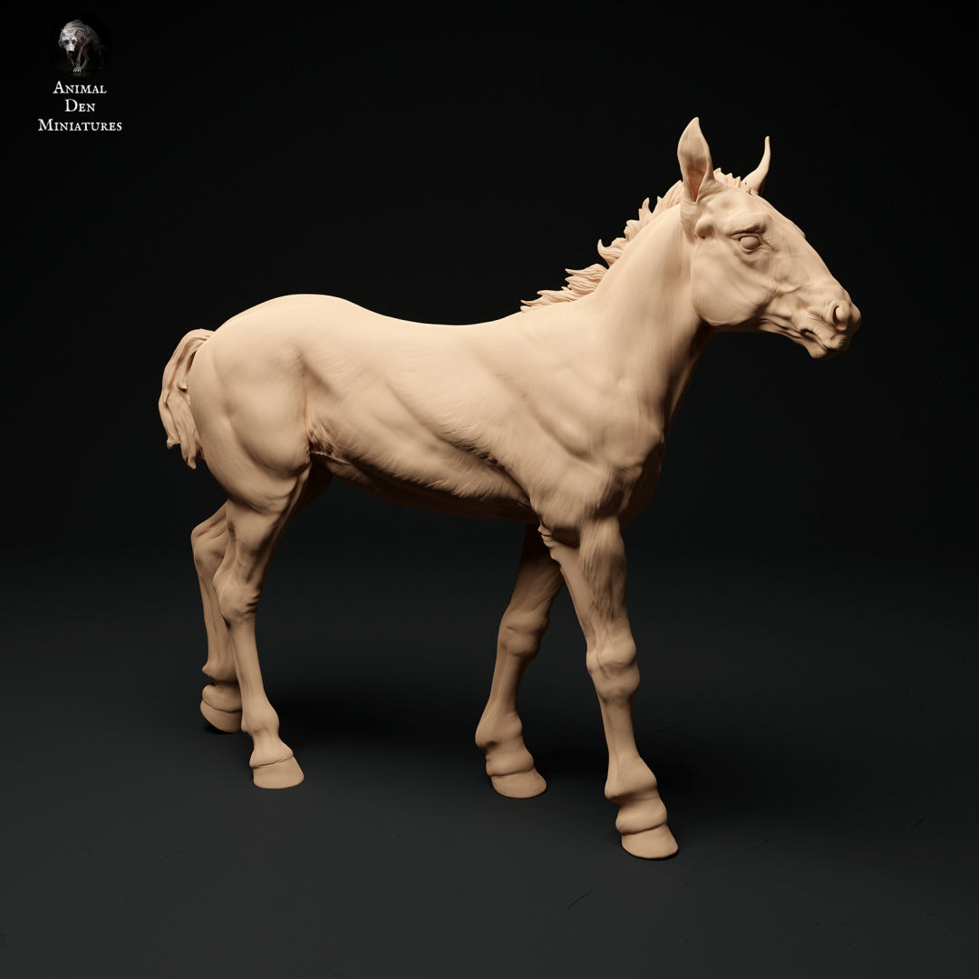 Suffolk Punch foals - white resin - ready to prep / paint - many options